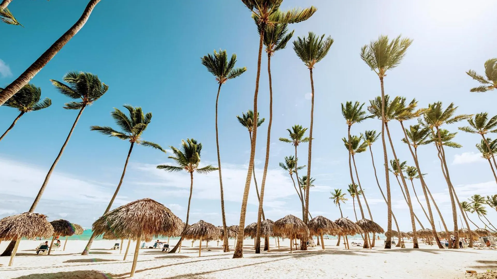 50 Steps To Private Beach Poolside Rooftop Terrace Punta Cana 0*,