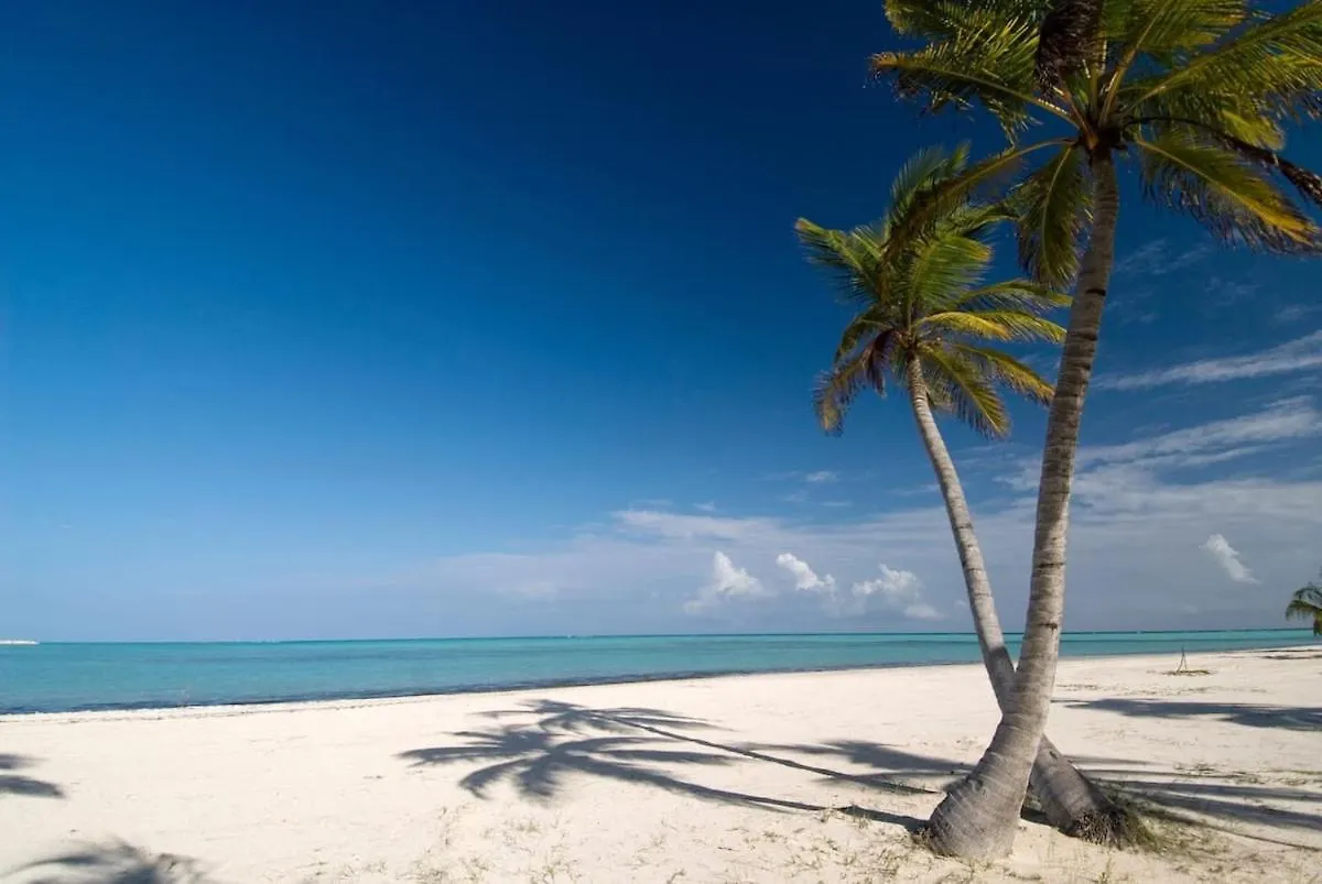 Appartamento 50 Steps To Private Beach Poolside Rooftop Terrace Punta Cana Repubblica Dominicana