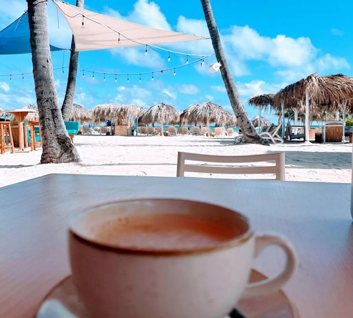 50 Steps To Private Beach Poolside Rooftop Terrace Punta Cana 0*,